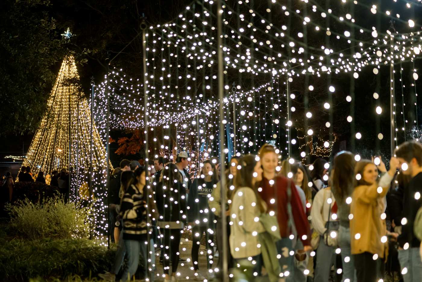 Traditional Lighting of the Quad Christmas Season to