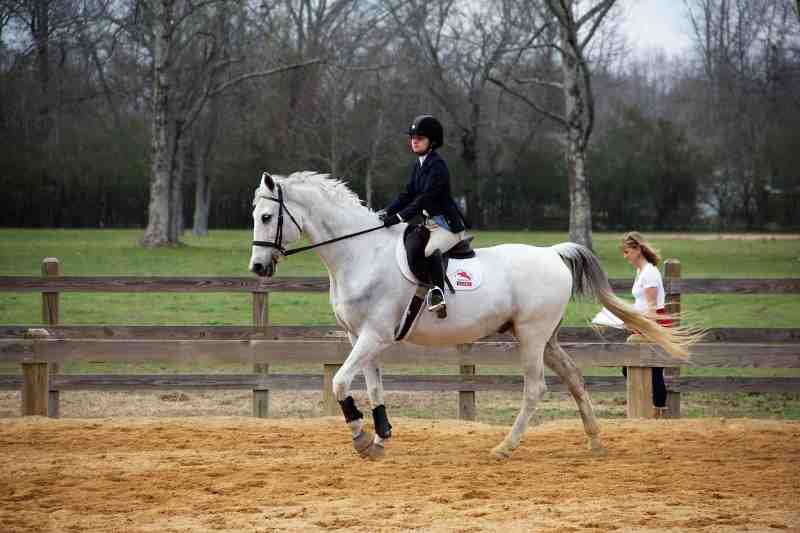 MC equestrian co-captain Kaylyn Kimpel of Orlando, Fla. is pictured riding.